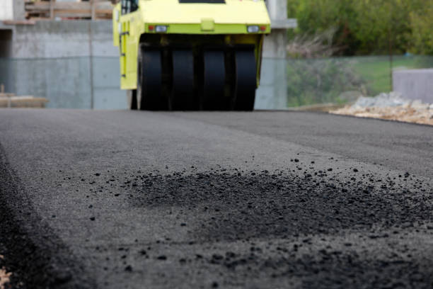 Best Driveway Paving Contractor  in Pinedale, WY